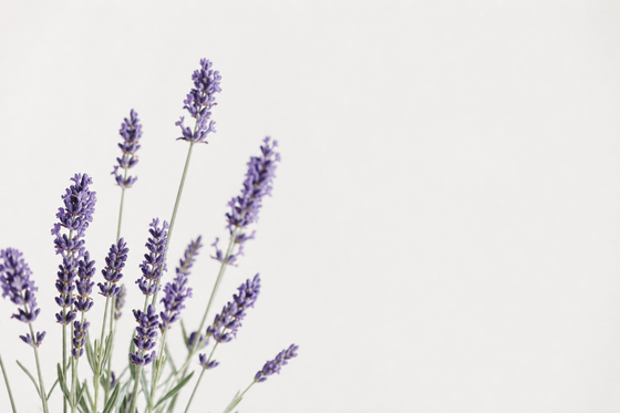 Why Lavender Is Your Skin's Best Friend